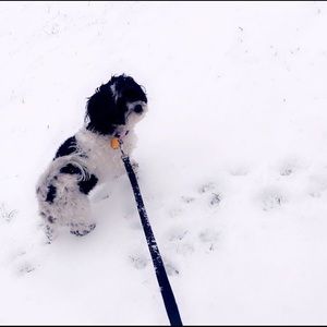 Meet your Posher, Skylar